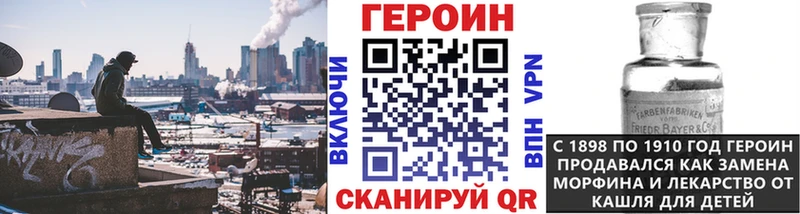 ГЕРОИН хмурый  Кедровый 
