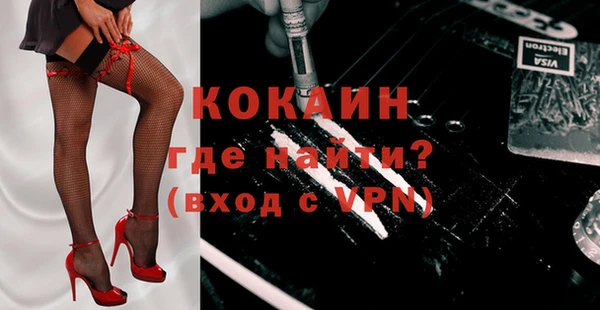 прущие грибы Абаза