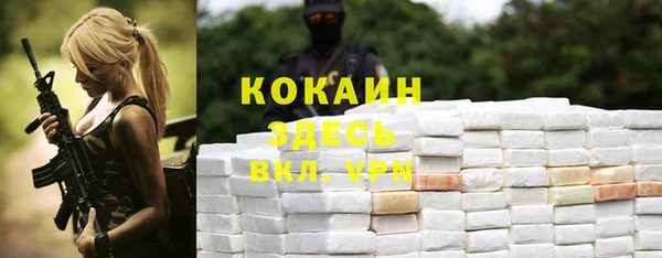 прущие грибы Абаза