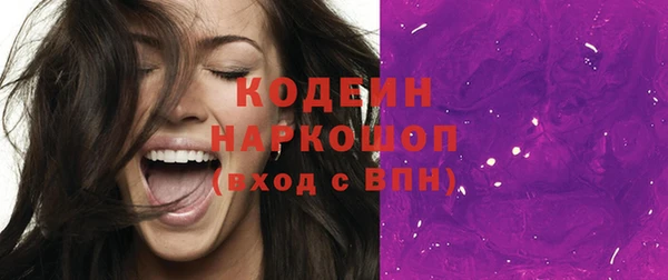 прущие грибы Абаза