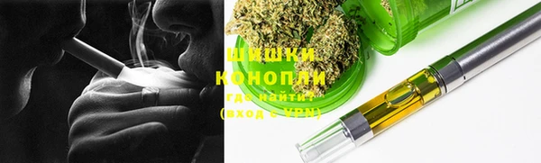 прущие грибы Абаза