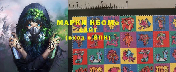 прущие грибы Абаза