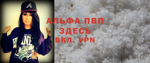 прущие грибы Абаза
